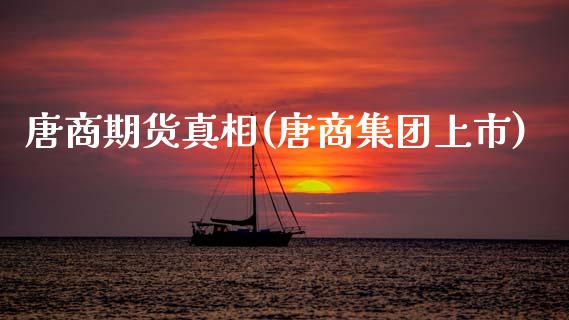 唐商期货真相(唐商集团上市)_https://www.zghnxxa.com_黄金期货_第1张