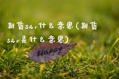 期货sar什么意思(期货sar是什么意思)_https://www.zghnxxa.com_国际期货_第1张
