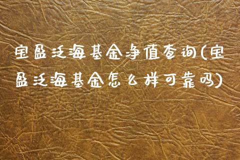 宝盈泛海基金净值查询(宝盈泛海基金怎么样可靠吗)_https://www.zghnxxa.com_期货直播室_第1张