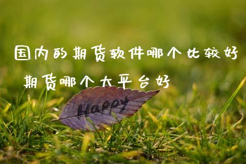 国内的期货软件哪个比较好 期货哪个大平台好_https://www.zghnxxa.com_黄金期货_第1张