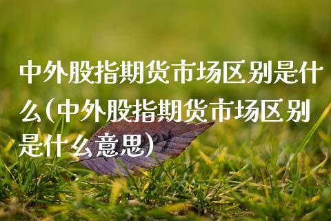 中外股指期货市场区别是什么(中外股指期货市场区别是什么意思)_国际期货_第1张_期货直播室 中外股指期货市场区别是什么(中外股指期货市场区别是什么意思)_https://www.zghnxxa.com_国际期货_第1张