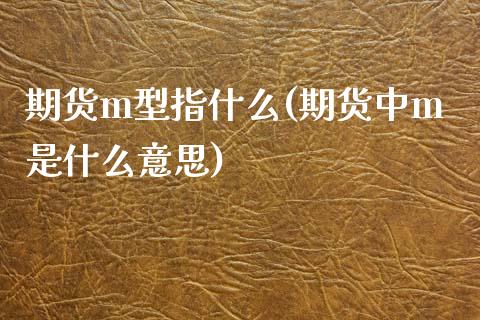 期货m型指什么(期货中m是什么意思)_https://www.zghnxxa.com_内盘期货_第1张
