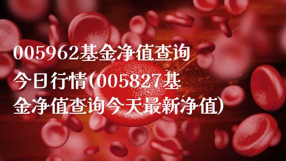 005962基金净值查询今日行情(005827基金净值查询今天最新净值)_期货直播室_第1张_期货直播室 005962基金净值查询今日行情(005827基金净值查询今天最新净值)_https://www.zghnxxa.com_期货直播室_第1张