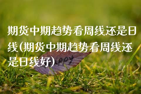期货中期趋势看周线还是日线(期货中期趋势看周线还是日线好)_https://www.zghnxxa.com_黄金期货_第1张