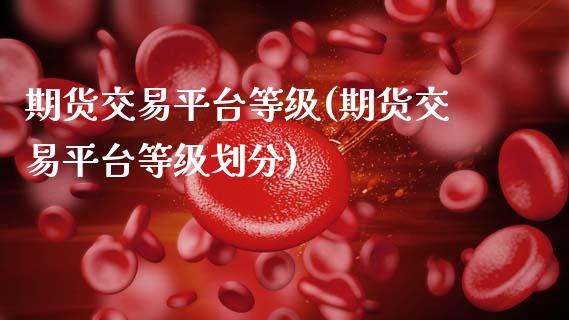 期货交易平台等级(期货交易平台等级划分)_https://www.zghnxxa.com_国际期货_第1张