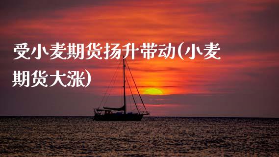 受小麦期货扬升带动(小麦期货大涨)_期货直播室_第1张_期货直播室 受小麦期货扬升带动(小麦期货大涨)_https://www.zghnxxa.com_期货直播室_第1张