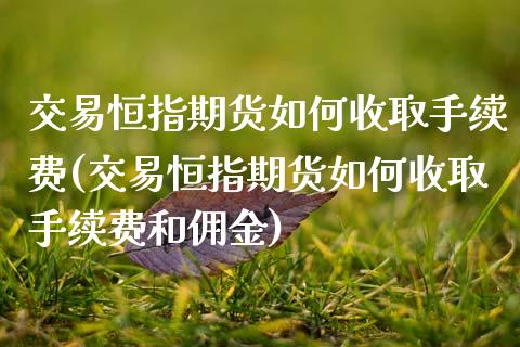 交易恒指期货如何收取手续费(交易恒指期货如何收取手续费和佣金)_https://www.zghnxxa.com_内盘期货_第1张