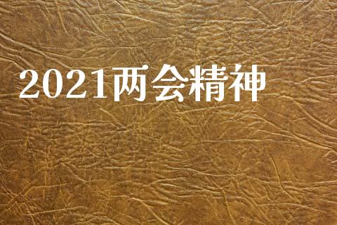 2021两会精神_https://www.zghnxxa.com_期货直播室_第1张