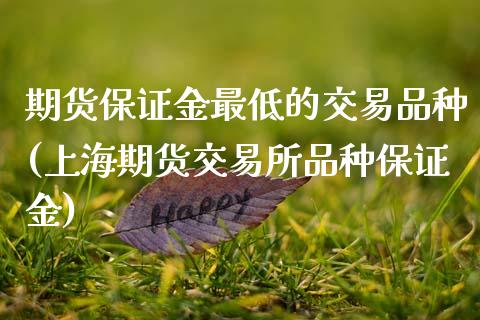 期货保证金最低的交易品种(上海期货交易所品种保证金)_https://www.zghnxxa.com_期货直播室_第1张