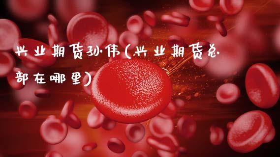 兴业期货孙伟(兴业期货总部在哪里)_https://www.zghnxxa.com_内盘期货_第1张