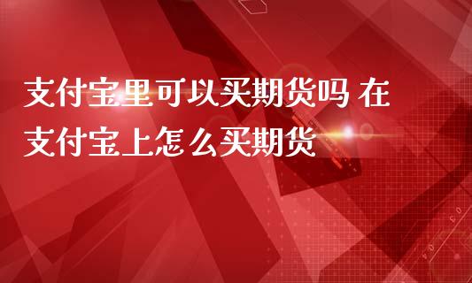 支付宝里可以买期货吗 在支付宝上怎么买期货_https://www.zghnxxa.com_期货直播室_第1张