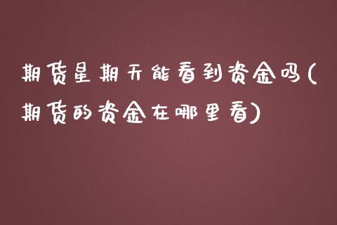 期货星期天能看到资金吗(期货的资金在哪里看)_https://www.zghnxxa.com_内盘期货_第1张