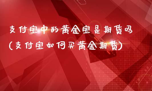支付宝中的黄金宝是期货吗(支付宝如何买黄金期货)_https://www.zghnxxa.com_黄金期货_第1张