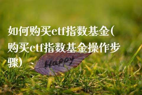 如何购买etf指数基金(购买etf指数基金操作步骤)_国际期货_第1张_期货直播室 如何购买etf指数基金(购买etf指数基金操作步骤)_https://www.zghnxxa.com_国际期货_第1张
