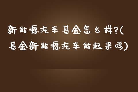 新能源汽车基金怎么样?(基金新能源汽车能起来吗)_https://www.zghnxxa.com_期货直播室_第1张