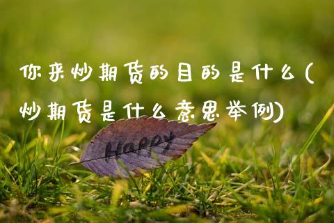 你来炒期货的目的是什么(炒期货是什么意思举例)_https://www.zghnxxa.com_期货直播室_第1张