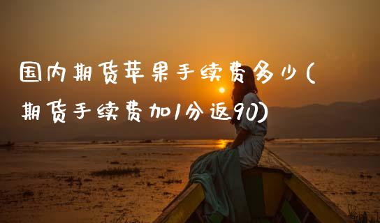 国内期货苹果手续费多少(期货手续费加1分返90)_https://www.zghnxxa.com_期货直播室_第1张