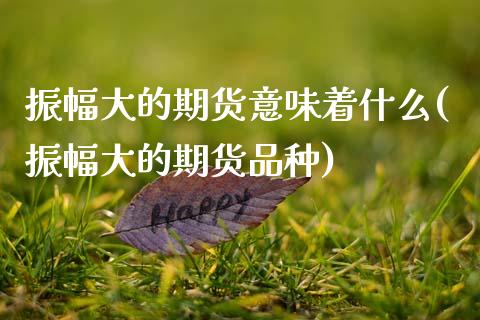 振幅大的期货意味着什么(振幅大的期货品种)_https://www.zghnxxa.com_内盘期货_第1张