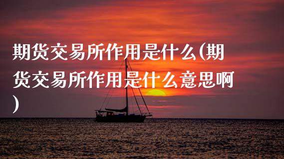 期货交易所作用是什么(期货交易所作用是什么意思啊)_https://www.zghnxxa.com_黄金期货_第1张