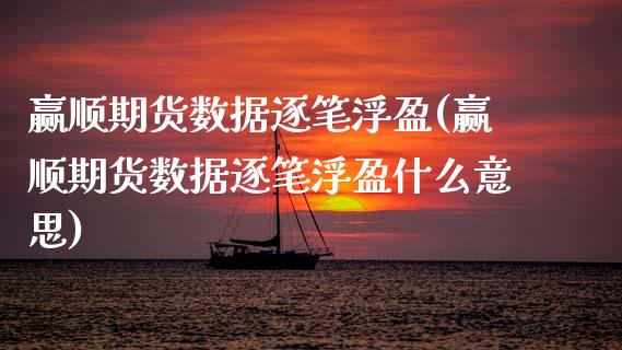 赢顺期货数据逐笔浮盈(赢顺期货数据逐笔浮盈什么意思)_https://www.zghnxxa.com_黄金期货_第1张