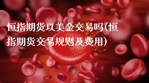 恒指期货以美金交易吗(恒指期货交易规则及费用)_https://www.zghnxxa.com_期货直播室_第1张