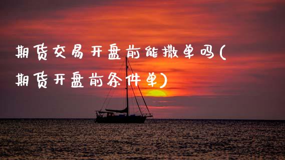 期货交易开盘前能撒单吗(期货开盘前条件单)_https://www.zghnxxa.com_内盘期货_第1张