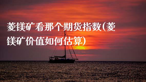 菱镁矿看那个期货指数(菱镁矿价值如何估算)_https://www.zghnxxa.com_内盘期货_第1张