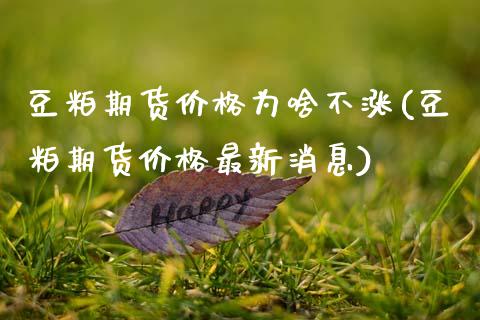 豆粕期货价格为啥不涨(豆粕期货价格最新消息)_https://www.zghnxxa.com_内盘期货_第1张