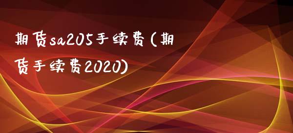 期货sa205手续费(期货手续费2020)_https://www.zghnxxa.com_黄金期货_第1张