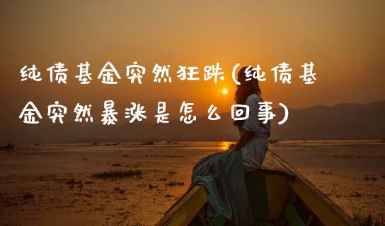 纯债基金突然狂跌(纯债基金突然暴涨是怎么回事)_https://www.zghnxxa.com_期货直播室_第1张