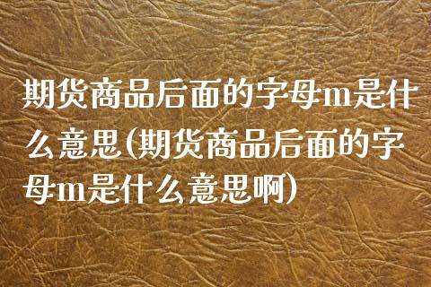 期货商品后面的字母m是什么意思(期货商品后面的字母m是什么意思啊)_https://www.zghnxxa.com_黄金期货_第1张
