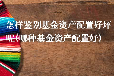 怎样鉴别基金资产配置好坏呢(哪种基金资产配置好)_https://www.zghnxxa.com_期货直播室_第1张