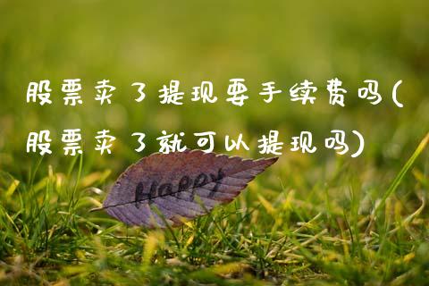 股票卖了提现要手续费吗(股票卖了就可以提现吗)_https://www.zghnxxa.com_国际期货_第1张