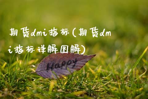 期货dmi指标(期货dmi指标详解图解)_期货直播室_第1张_期货直播室 期货dmi指标(期货dmi指标详解图解)_https://www.zghnxxa.com_期货直播室_第1张