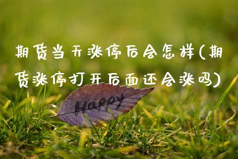 期货当天涨停后会怎样(期货涨停打开后面还会涨吗)_内盘期货_第1张_期货直播室 期货当天涨停后会怎样(期货涨停打开后面还会涨吗)_https://www.zghnxxa.com_内盘期货_第1张