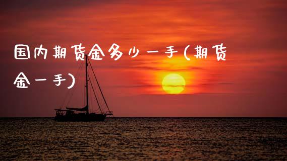 国内期货金多少一手(期货金一手)_https://www.zghnxxa.com_内盘期货_第1张