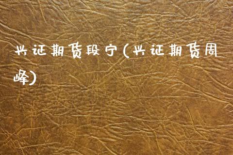 兴证期货段宁(兴证期货周峰)_https://www.zghnxxa.com_黄金期货_第1张