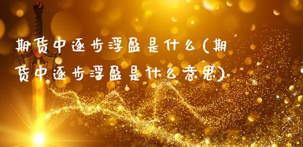 期货中逐步浮盈是什么(期货中逐步浮盈是什么意思)_https://www.zghnxxa.com_国际期货_第1张