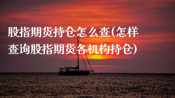 股指期货持仓怎么查(怎样查询股指期货各机构持仓)_https://www.zghnxxa.com_期货直播室_第1张