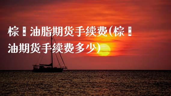 棕榈油脂期货手续费(棕榈油期货手续费多少)_https://www.zghnxxa.com_内盘期货_第1张