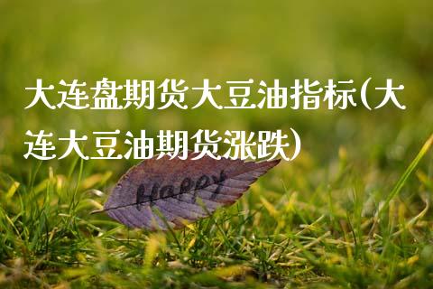 大连盘期货大豆油指标(大连大豆油期货涨跌)_https://www.zghnxxa.com_期货直播室_第1张