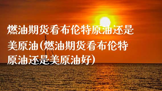 燃油期货看布伦特原油还是美原油(燃油期货看布伦特原油还是美原油好)_https://www.zghnxxa.com_国际期货_第1张