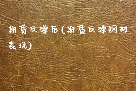 期货反弹后(期货反弹钢材表现)_https://www.zghnxxa.com_内盘期货_第1张