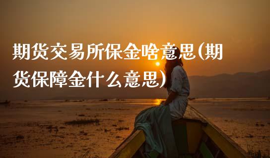 期货交易所保金啥意思(期货保障金什么意思)_https://www.zghnxxa.com_国际期货_第1张