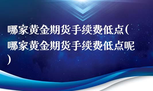 哪家黄金期货手续费低点(哪家黄金期货手续费低点呢)_https://www.zghnxxa.com_期货直播室_第1张