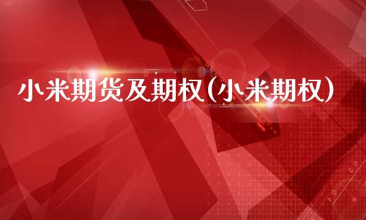 小米期货及期权(小米期权)_https://www.zghnxxa.com_内盘期货_第1张