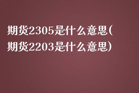 期货2305是什么意思(期货2203是什么意思)_期货直播室_第1张_期货直播室 期货2305是什么意思(期货2203是什么意思)_https://www.zghnxxa.com_期货直播室_第1张