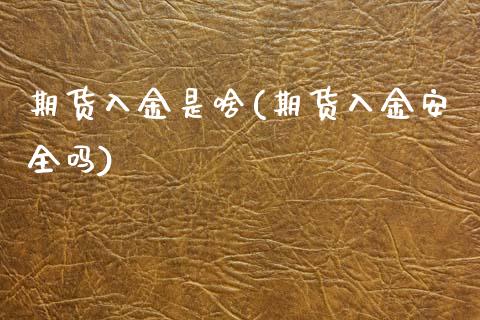 期货入金是啥(期货入金安全吗)_国际期货_第1张_期货直播室 期货入金是啥(期货入金安全吗)_https://www.zghnxxa.com_国际期货_第1张