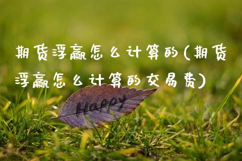 期货浮赢怎么计算的(期货浮赢怎么计算的交易费)_https://www.zghnxxa.com_黄金期货_第1张