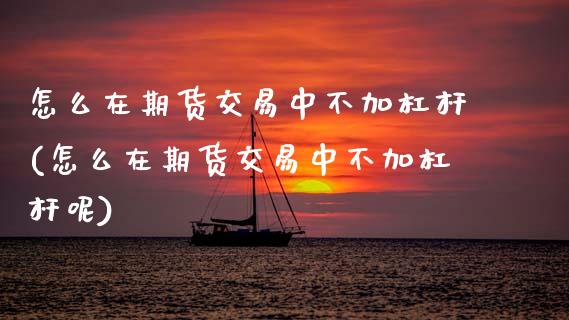怎么在期货交易中不加杠杆(怎么在期货交易中不加杠杆呢)_https://www.zghnxxa.com_黄金期货_第1张